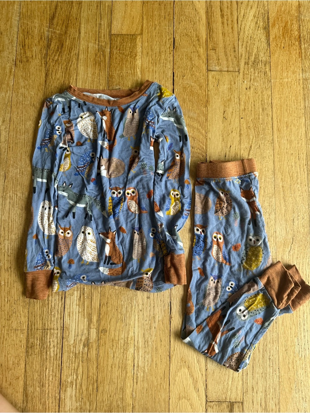 Little Sleepies Woodland Animal Friends Blue 2T Long Sleeve Pants Pajamas